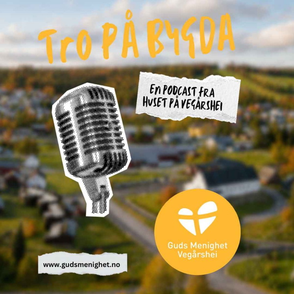 Artwork for Tro På Bygda