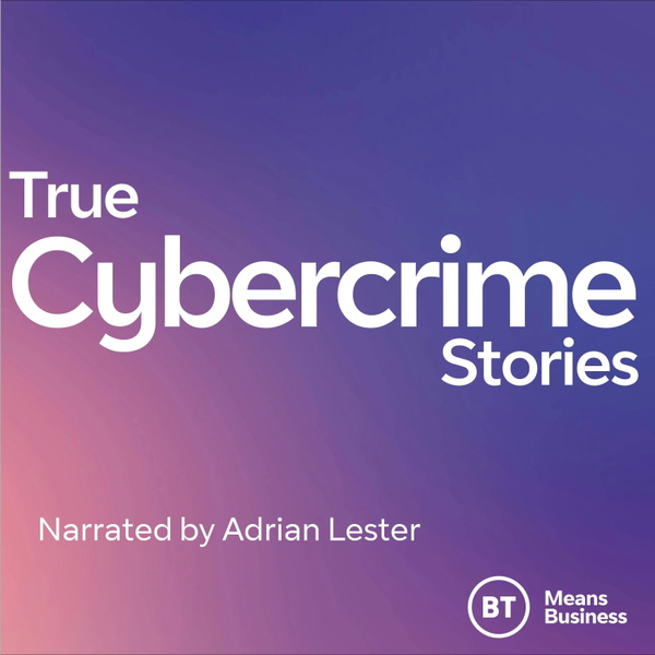 Artwork for True Cybercrime Stories by BT