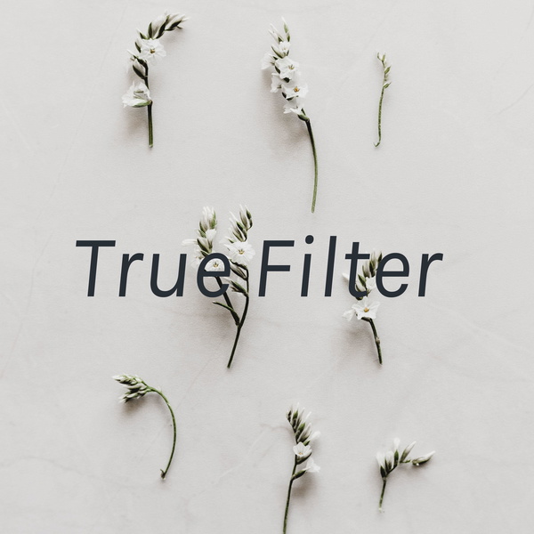 Artwork for True Filter