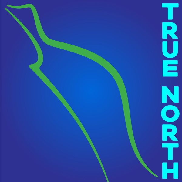 Artwork for True North