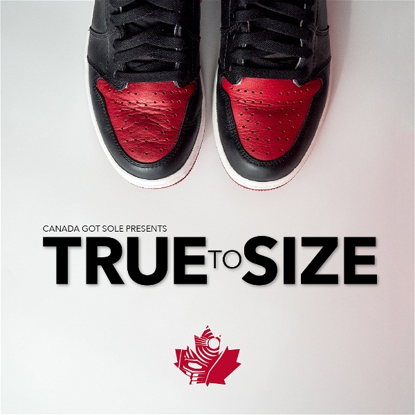 Artwork for True to Size