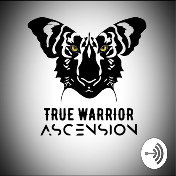 Artwork for True Warrior Audio