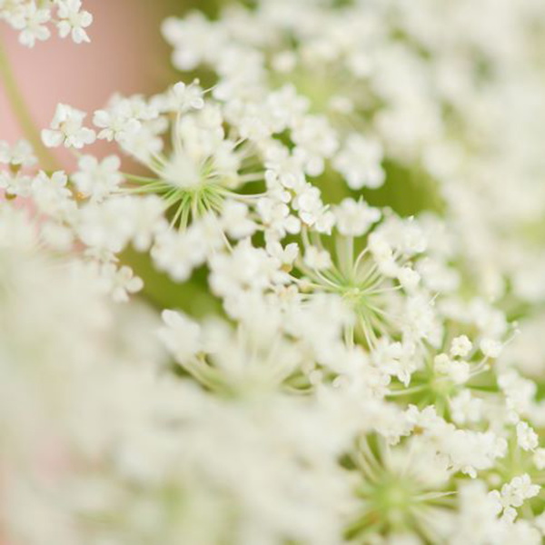 Artwork for Truth Matters With Teri McCarthy