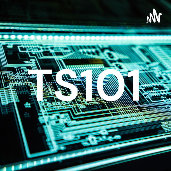 Artwork for TS101