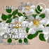Ципора Харитан — Женские образы в Танахе: проекция в современность