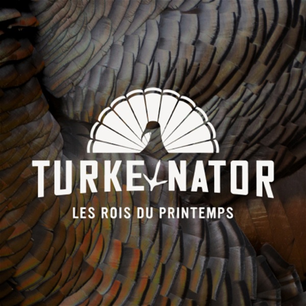 Artwork for Turkeynator
