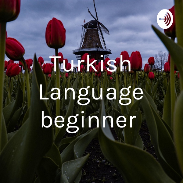 Artwork for Turkish Language beginner