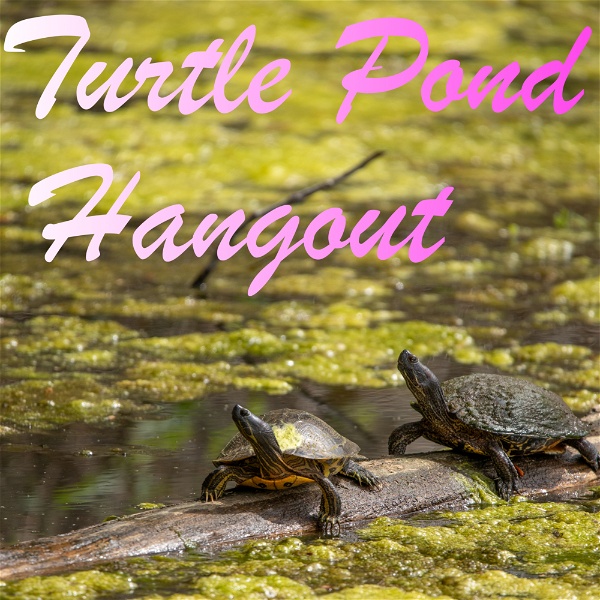 Artwork for TURTLE POND HANGOUT