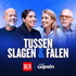 Tussen Slagen & Falen