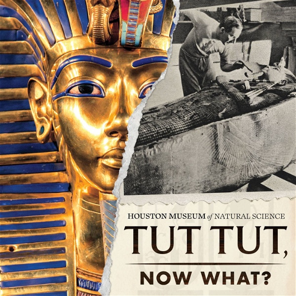 Artwork for Tut Tut, Now What?