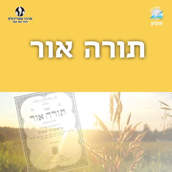 Artwork for תורה אור