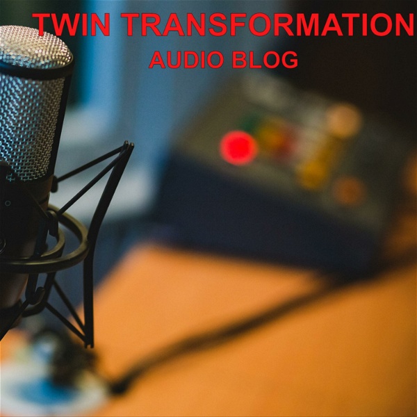 Artwork for Twin Transformation