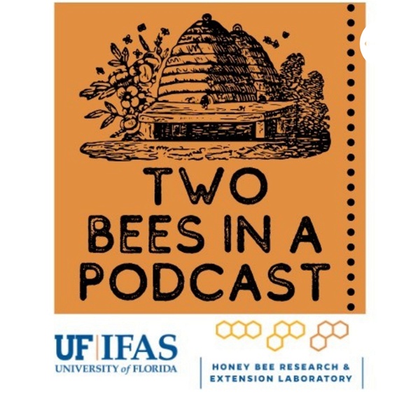 Artwork for Two Bees in a Podcast