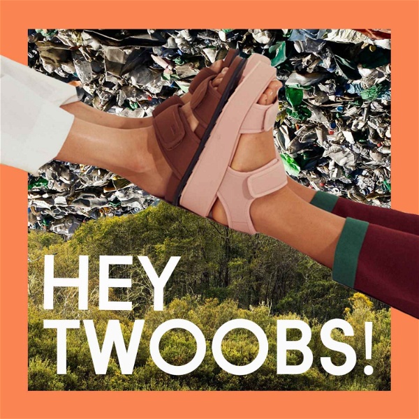 Artwork for Hey TWOOBS!
