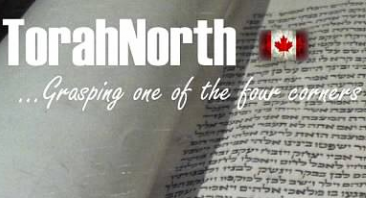 Artwork for TzadikClass – TorahNorth