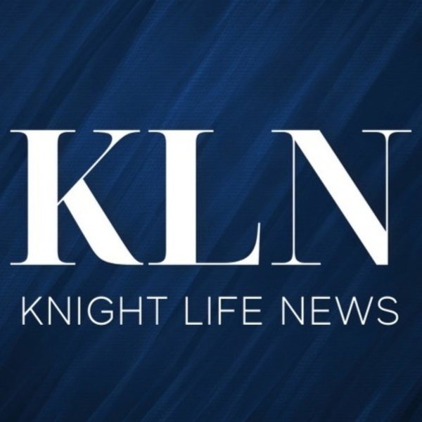 Artwork for UCF's Knight Life News