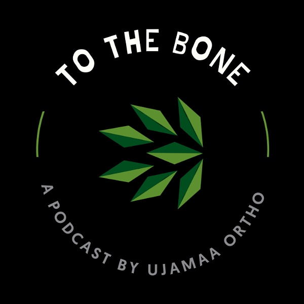 Artwork for TO THE BONE