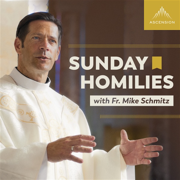 Artwork for Sunday Homilies