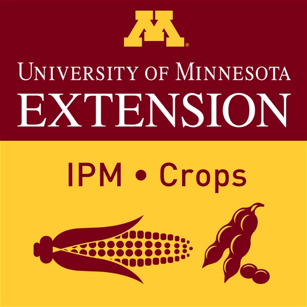 Artwork for UMN Extension Field Crop IPM Podcasts