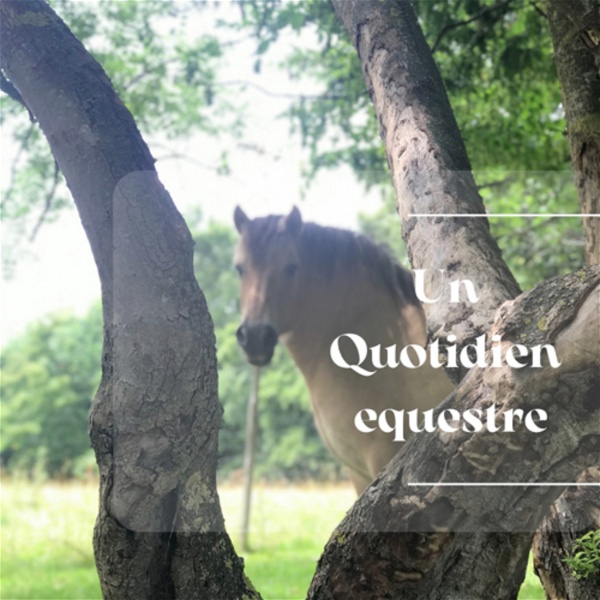 Artwork for Un Quotidien Equestre