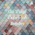 Un Viaje Exprés A Japón