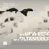 Una specie di tenerezza