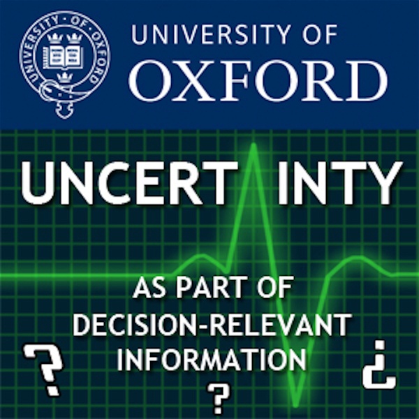 Artwork for Uncertainty as part of decision-relevant information