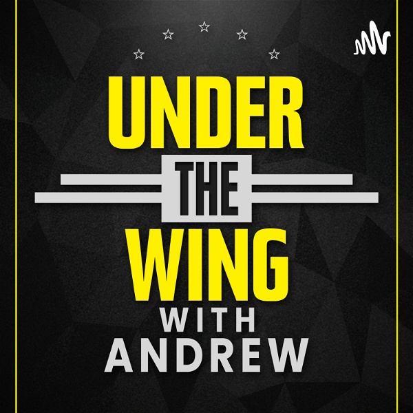 Artwork for Under The Wing with Andrew