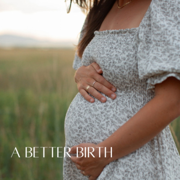 Artwork for A Better Birth