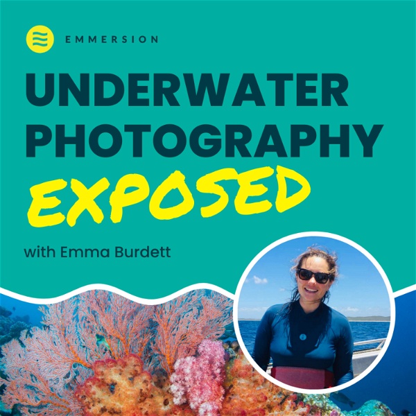 Artwork for Underwater Photography Exposed