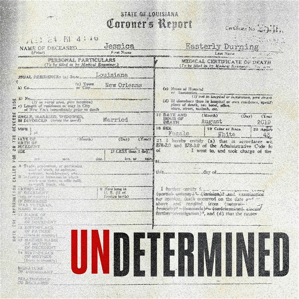 Artwork for Undetermined