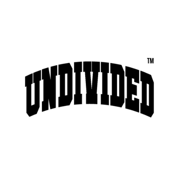 Artwork for UNDIVIDED YOUTH