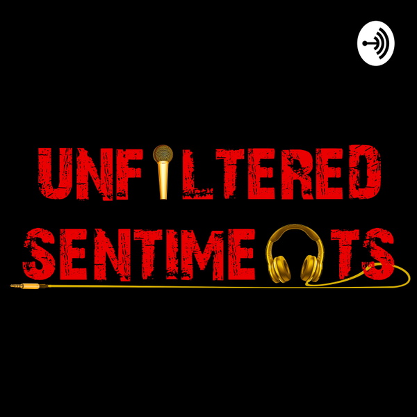 Artwork for Unfiltered Sentiments