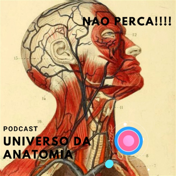 Artwork for Universo da Anatomia
