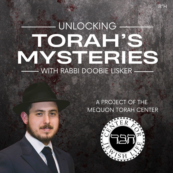 Artwork for Rabbi Doobie Lisker