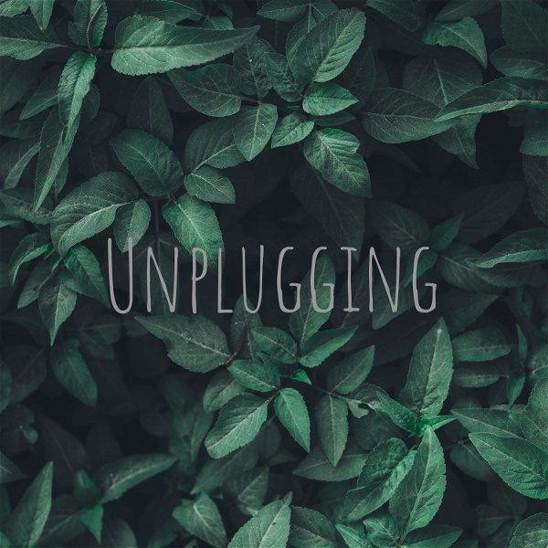 Artwork for Unplugging