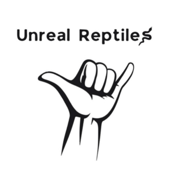 Artwork for Unreal Reptiles Podcast