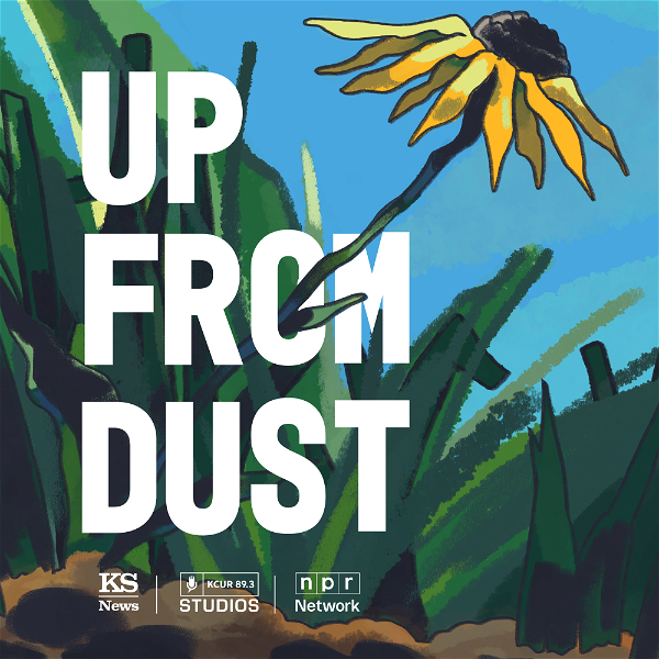 Artwork for Up From Dust