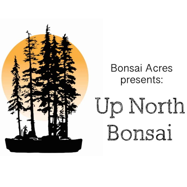 Artwork for Up North Bonsai