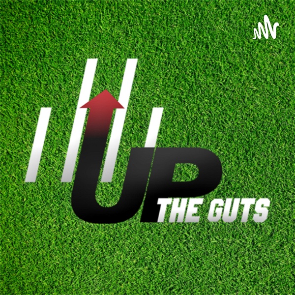 Artwork for Up the Guts