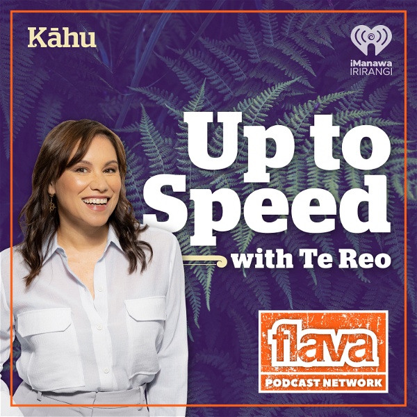 Artwork for Up To Speed with Te reo Māori
