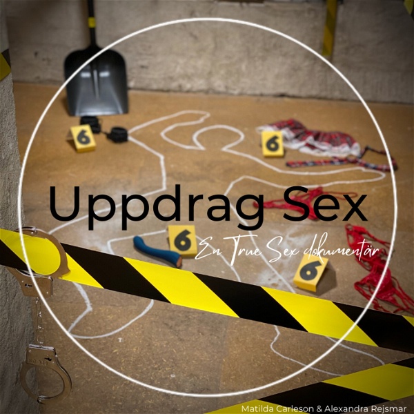 Artwork for Uppdrag Sex