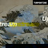 "Upstream" with Erik Torenberg