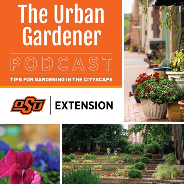 Artwork for Urban Gardener Podcast
