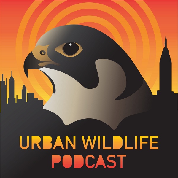 Artwork for Urban Wildlife Podcast