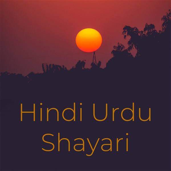 Artwork for Hindi Urdu Shayari