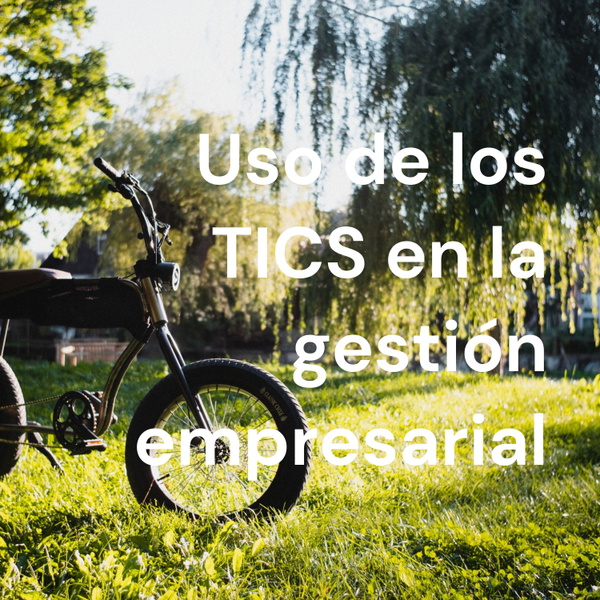 Artwork for Uso de los TICS en la gestión empresarial