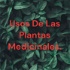 Usos De Las Plantas Medicinales.