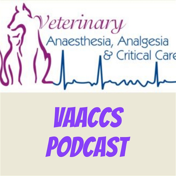 Artwork for VAACCS Podcast