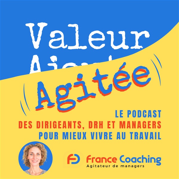 Artwork for VALEUR AGITÉE, le 1er Podcast des Dirigeants, DRH et managers pour MIEUX VIVRE AU TRAVAIL !